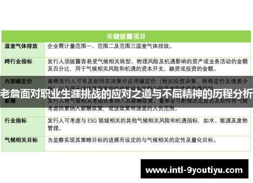 老詹面对职业生涯挑战的应对之道与不屈精神的历程分析