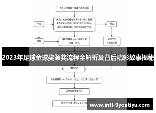 2023年足球金球奖颁奖流程全解析及背后精彩故事揭秘